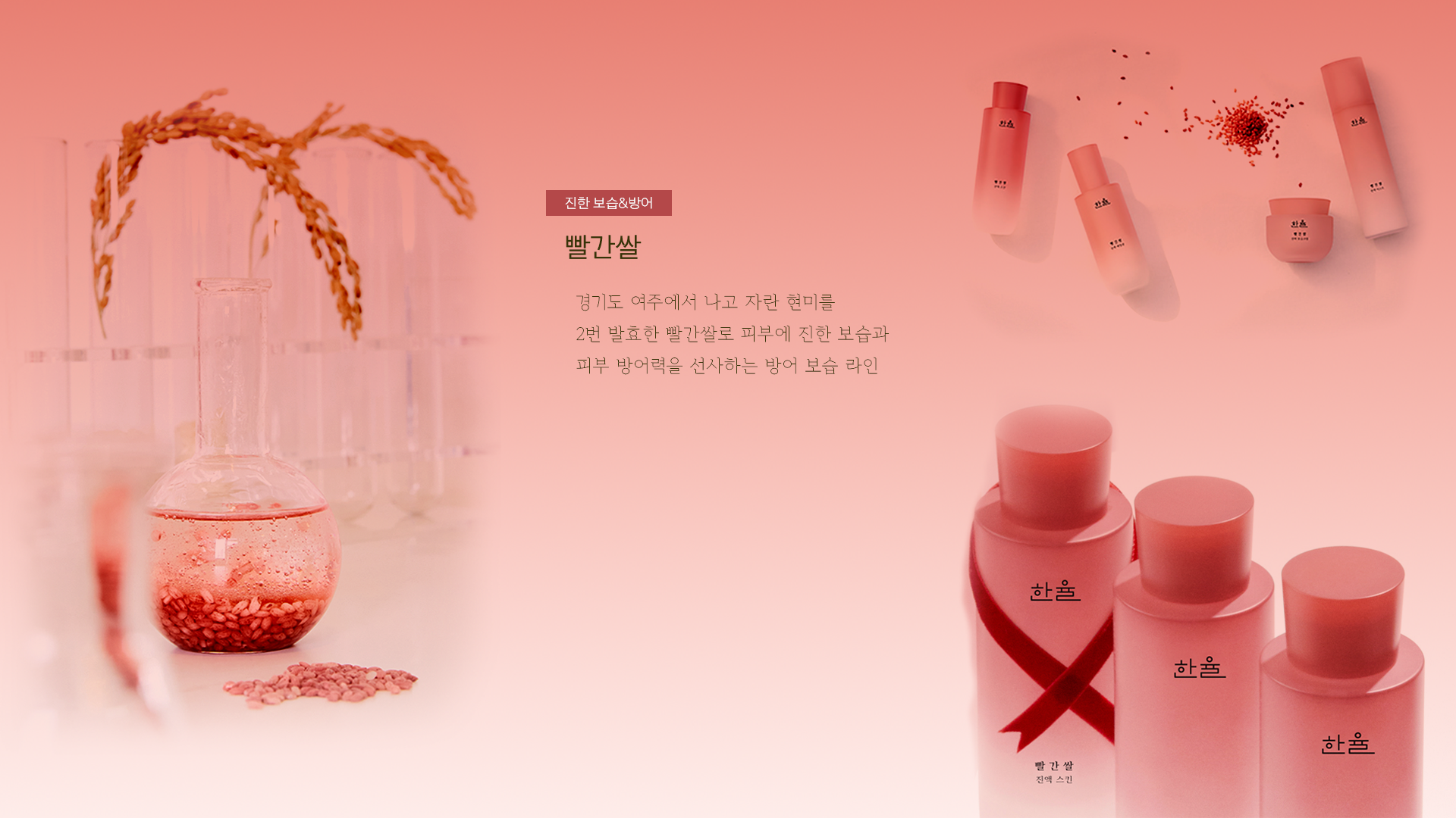 한율 베스트 빨간쌀
