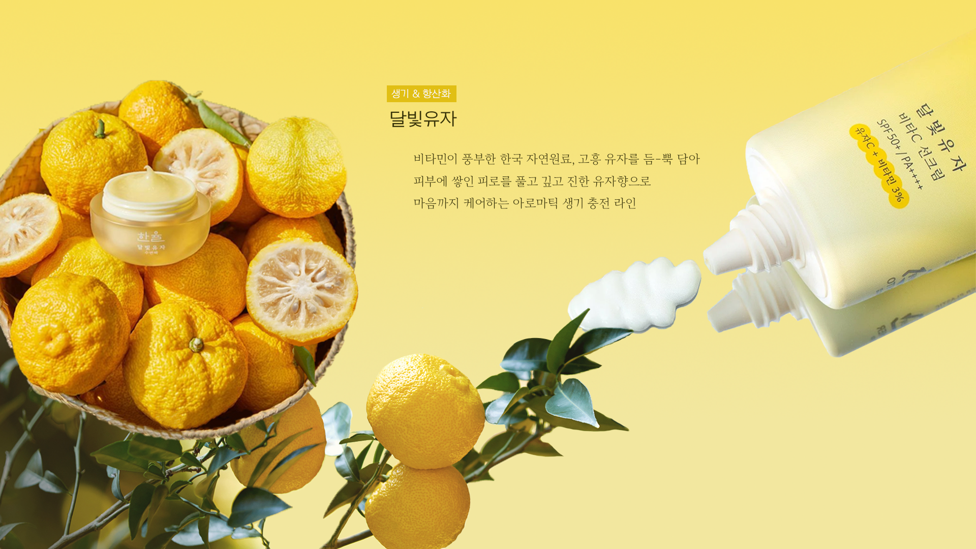 한율 베스트 유자